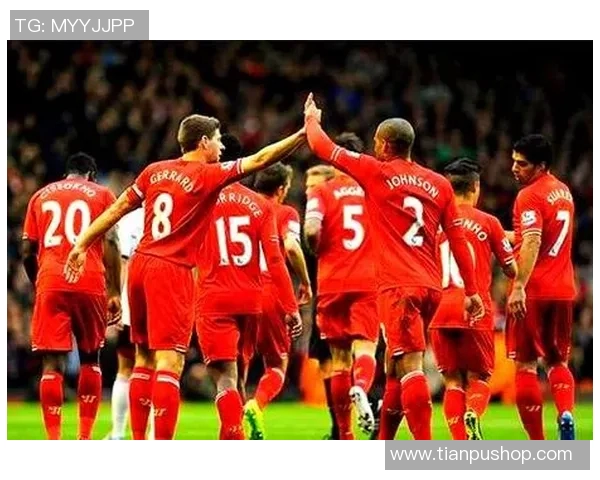 全球足球前十名球队排名解析与历史成就回顾