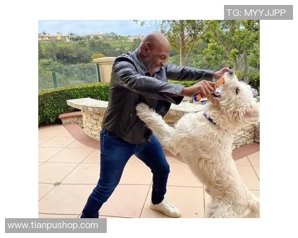 梅威瑟与嘴炮赛前对决分析双方战术及心理准备的深度探讨